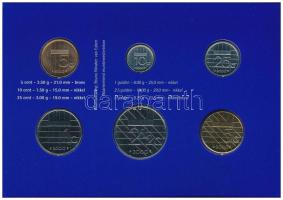 Hollandia 2000. 5c-5G (6xklf) forgalmi sor karton dísztokban, fólia borítékban T:UNC Netherlands 200...