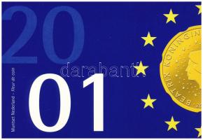 Hollandia 2001. 5c-5G (6xklf) forgalmi sor karton dísztokban, fólia borítékban T:UNC Netherlands 2001. 5 Cents - 5 Gulden (6xdiff) coin set, in cardboard case and foil envelope C:UNC