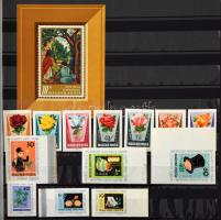 30 fekete lapos A4-es berakó, benne modern magyar kiadások, néhány vágott (betapadások), használt bélyegek, kevés régi, 35 oldalon