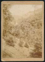 cca 1890 Zugligeti tájkép, keményhátú fotó, 18×13 cm