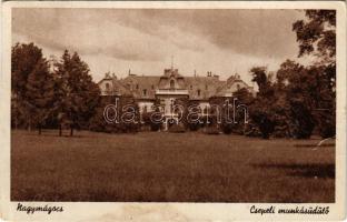 Nagymágocs, Csepeli munkásüdülő (Károlyi kastély) (fl)