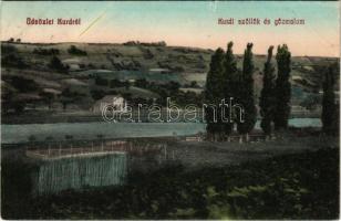 1912 Kurd (Tolna megye), szőlők és gőzmalom (szakadás / tear)