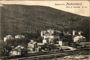 Purkersdorf, Sanatorium. P. Ledermann / sanatorium, railway (surface damage)