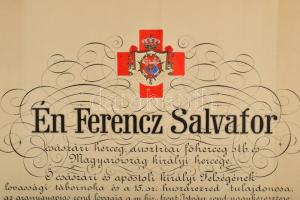 1917 A "Vörös Kereszt II. osztályú Díszjelvénye hadiékítménnyel" kitüntetés adományozó okl...