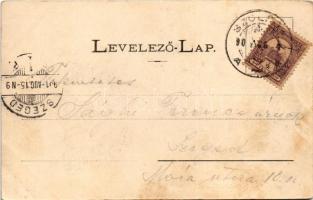 1901 Szolnok, megyeház. Szigeti H. fényképész (fl)