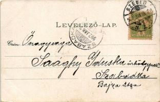 1902 Pozsony, Pressburg, Bratislava; Aupark. Ottmar Zieher / liget / park (EK)