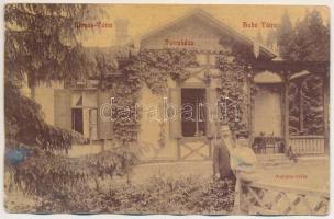 1910 Tátraháza, Mlynceky (Magas-Tátra, Vysoké Tatry); Aurora villa, nyaraló / villa (hullámos / wavy)