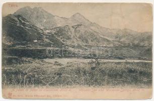 1917 Tátra, Magas-Tátra, Vysoké Tatry; Fehér tó és fehér tó csúcs. Feitzinger Ede No. 912. L. 1905. / Weisser See und Spitze / lake, mountain peak (Rb)