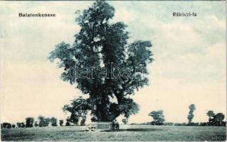 Balatonkenese, Rákóczi fa. Rosenthal Dávid kiadása