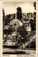 Balatonaliga (Balatonvilágos), Adóhivatali tisztviselők üdülőháza, nyaraló, villa (Rb)