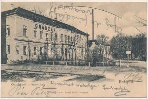 1903 Budapest II. Császár fürdő. Divald Károly 59. sz. (ázott / wet damage)