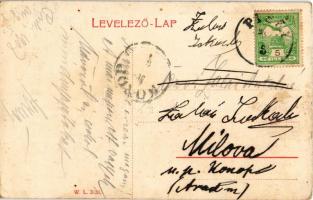 1908 Piski, Simeria; Bem tábornok emlékszobor. W.L. 3131. / monument (EB)