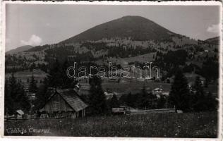 Kolibica, Colibita; látkép / general view. photo