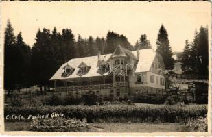 Kolibica, Colibita; Pavilonul Olivia / Olivia pavilon, nyaraló / pavilion, villa. photo