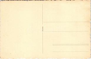 Kolibica, Colibita; Pavilonul Olivia / Olivia pavilon, nyaraló / pavilion, villa. photo