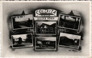 Kolibica, Colibita; Pension Seiler &amp; Römer / Seiler &amp; Römer penzió, üdülő szálloda / hotel. Foto Sport (Bistrita) photo (fa)