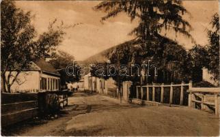 1943 Brád, Strada Regimentul Horea / utca / street view (Rb)