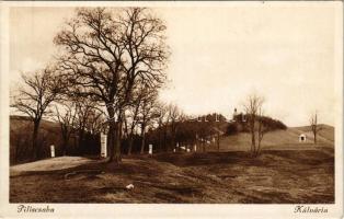 Piliscsaba, Kálvária. Hangya szövetkezet kiadása (EK)