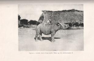 Kittenberger Kálmán: 
Vadász- és gyűjtőúton Kelet-Afrikában 1903-1926. Nagybányai Horthy Jenő elősz...