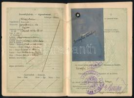 1924 A Magyar Királyság által kiállított fényképes útlevél Doroszlai Sándor részére, osztrák vízummal