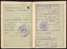 1924 A Magyar Királyság által kiállított fényképes útlevél Doroszlai Sándor részére, osztrák vízumma...