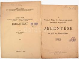 1923-1936 Vegyes nyomtatvány tététel, 2 db: 1935 A Magyar Tégla és Agyagárugyárosok Országos Egyesülete jelentése az 1935. évi közgyűléshez. Bp., Farkas Testvérek-ny., 36 p.; 1932 Rapport sur les Obsevations Sismologiques Faites á L'Observatoire de Budapest. Bp., 1932, Egyesült Kő- Könyvnyomda, 16 p. Változó állapotban, közte sérült, és szakadt borítókkal, régi bélyegzésekkel.