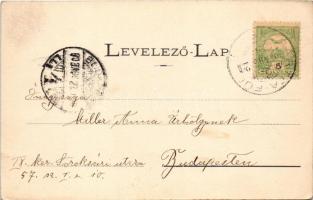 1903 Bártfafürdő, Bardejovské Kúpele, Bardiov, Bardejov; Erzsébet királyné (Sissi) szobor, Donáth Gy...