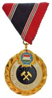 1984. "A Bányász Szolgálati Érdemérem gyémánt fokozata" aranyozott, műgyantás bronz jelvény mellszalagon T:AU,XF NMK 665.