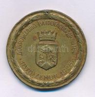 Jugoszlávia 1925 "A Zemun Önkéntes Tűzoltóság 55. évfordulója 1870-1925" kétoldalas bronz emlékérem (40mm) T:VF, lyukasztott, peremhiba Yugoslavia 1925. "55th Anniversary of Zemun Voluntary Fire brigade 1870-1925" two-sided bronze commemorative medallion (40mm) C:VF, holed, edge error