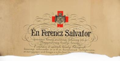 1915 A "Vörös Kereszt Ezüst Díszérme hadiékítménnyel" kitüntetés adományozó oklevele Székely Irén önkéntes ápolónő részére, "a katonai egészségügy körül a háboruban szerzett különös érdemei elismeréséül", Habsburg-Toscanai Ferenc Szalvátor főherceg (1866-1939) nyomtatott aláírásával. Szakadt, két részre vált állapotban, hozzá tartozó eredeti karton hengerrel, 42,5x51 cm