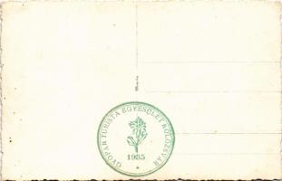 Kolozsvár, Cluj; Erzsébet királyné (Sissi) forrás. Újjáépítette a Kolozsvári Gyopár Turista Egyesüle...