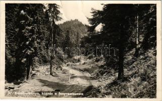 Erzsébetbánya, Baiut (Magyarlápos, Targu Lupus); kilátás a Fenyves-csúcsra / road, mountain peak, forest (gyűrődések / creases)