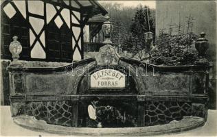 Előpatak, Valcele; Erzsébet forrás a fürdő parkban. Goldstein Manó kiadása / Izvorul Elisabeta / mineral water spring in the spa park (EK)