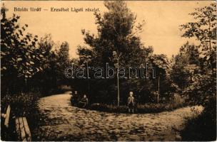 1913 Buziásfürdő, Baile Buzias; Erzsébet ligeti részlet. Heksch Manó kiadása / park (EB)