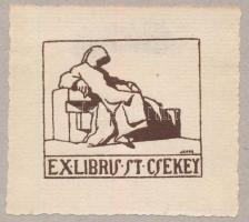 Jávor Pál (1880-1923): Ex libris St Csekey, 1910 körül. Vonalas klisé, papír, jelzett a metszeten, teteje kartonra kasírozva, 3,5x4 cm