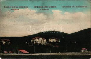 1912 Budakeszi, Erzsébet királyné szanatórium és Jánoshegy + "Erzsébet királyné Szanatórium Postai Ügyn." (ázott sarok / wet corner)