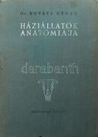 Kovács Gyula: Háziállatok anatómiája. Bp., 1962, Mezőgazdasági, 689+1 p. 2. kiadás. Kiadói egészvászon-kötés, kopott, foltos borítóval, kissé sérült gerinccel, kissé sérült kötéssel, aláhúzásokkal és bejegyzésekkel.