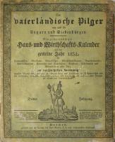 1834 Der Vaterländische Pilger von und für Ungarn und Siebenbürgen. Ein gemeinnüßiger Haus- und Worthschaft-Kalender auf das gemeine Jahre 1834. Dritter Jahrgang. Kasschau, (1834.), Carl Werfer, 4+16 p.+6 [jegyzetlap] sztl. lev. + 1 t. 17-216 p. Német nyelven. Korabeli kartonált papírkötésben, kopott, foltos, hiányos borítóval, az elülső borító levált.