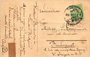 1913 Szeged, Tisza-part, Kultúrpalota (fa)