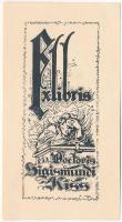 Kiss A jelzéssel: Ex libris doctoris Sigismundi Kiss, klisé, papír, jelzett a klisén, 8×3,5 cm