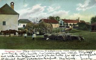 Hortobágy tanya (EK)