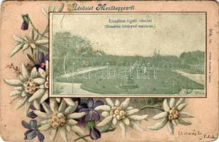 1899 Mezőhegyes, Erzsébet-ligeti részlet. Nyomta Bloch H. 504. sz. Szecessziós virágos litho keret / Art Nouveau, floral, litho frame (lyukak / pinholes)