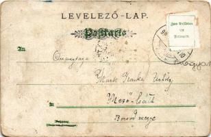 1899 Mezőhegyes, Erzsébet-ligeti részlet. Nyomta Bloch H. 504. sz. Szecessziós virágos litho keret /...