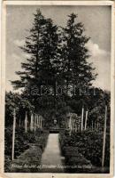 1930 Kőszeg, Erzsébet szanatórium kertje. Emericanum Rt. kiadása (fl)