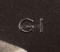 Gergely István (1939-2008): M. Tótfalusi Kis Miklós . Festett gipsz plakett. Jelzett, kopásokkal. 30...