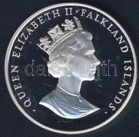 Falkland-szigetek 1993. 50p Ag "II.Erzsébet 40. koronázási évfordulója" T:PP Csak 10.000db!