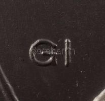 Gergely István (1939-2008): Bethlen Gábor. Festett gipsz plakett. Jelzett, kopásokkal. 29x29 cm