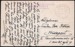 1917 Tábori posta képeslap Budapestre küldve / Field postcard to Budapest "K.u.K. ETAPPENPOSTAMT / SMEDEREVO" , "K.u.k. Schiffstationskommando / SEMENDRIA"
