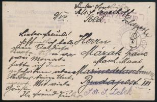1917 Tábori posta képeslap Budapestre küldve majd továbbítva az S.M.S. Lelek-nek "K.u.K. MARINEFELDPOSTAMT / POLA" , "BRIEFZENSUR S.M.S. ?Tegetthoff?"