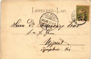 1903 Trencsénteplic, Trencianske Teplice; Széchenyi út, Sina és Hammam fürdő. Gansel Lipót 196. / st...